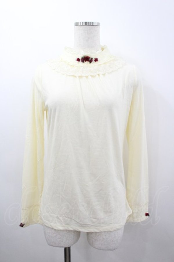 画像1: axes femme / ガーデンタートル M キナリ I-26-03-04-046-AX-TO-TE-ZI (1)