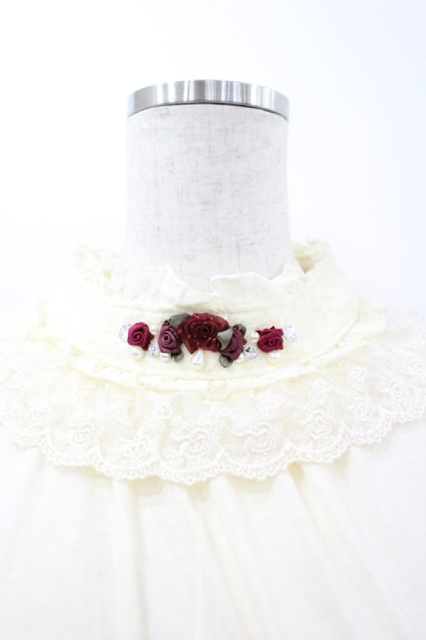 画像2: axes femme / ガーデンタートル M キナリ I-26-03-04-046-AX-TO-TE-ZI (2)