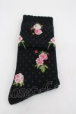 画像1: PINK HOUSE / ブロッサムローズ柄ソックス  黒 I-26-03-04-118-LO-ZA-TE-ZI (1)