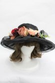 画像2: LOLITAその他(お買取対象外) / ローズモチーフシースルーハット  黒 I-26-03-05-089-LO-AC-SA-ZI (2)
