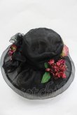 画像3: LOLITAその他(お買取対象外) / ローズモチーフシースルーハット  黒 I-26-03-05-089-LO-AC-SA-ZI (3)