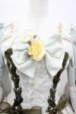 画像3: BABY,THE STARS SHINE BRIGHT / Sleeping Beautyローズワンピース  ミント I-26-03-05-110-BA-OP-SA-ZI (3)