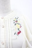 画像3: axes femme / ミックスフルーツ刺繍ブラウス  アイボリー I-26-03-06-001-AX-BL-SA-ZI (3)