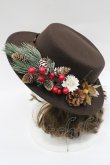 画像3: LOLITAその他(お買取対象外) / クリスマスモチーフハット  ブラウン I-26-03-08-058-LO-AC-SA-ZI (3)