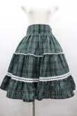 画像1: Eri Aino's collaboration / シャーロットの水曜日スカート L グリーンチェック I-26-03-10-075-PU-SK-SA-ZI (1)