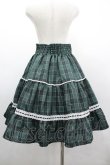 画像2: Eri Aino's collaboration / シャーロットの水曜日スカート L グリーンチェック I-26-03-10-075-PU-SK-SA-ZI (2)