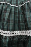 画像3: Eri Aino's collaboration / シャーロットの水曜日スカート L グリーンチェック I-26-03-10-075-PU-SK-SA-ZI (3)