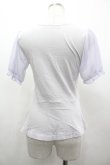 画像2: Fi.n.t / 袖シフォンプリントTシャツ F ブルーグレー I-26-03-14-012-CA-TS-TE-ZI (2)