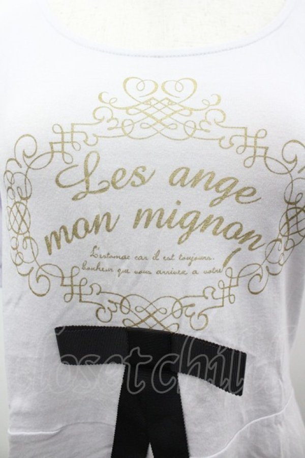 画像3: Fi.n.t / 袖シフォンプリントTシャツ F ブルーグレー I-26-03-14-012-CA-TS-TE-ZI (3)