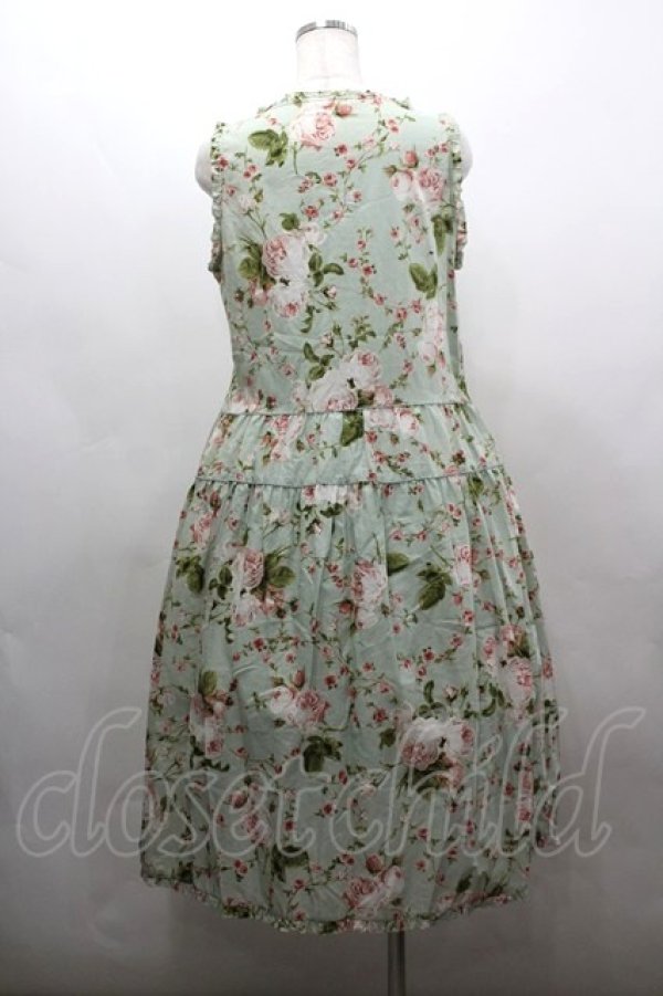 画像3: PINK HOUSE / La Reine a la roseノースリーブワンピース  ハッカ I-26-03-16-097-LO-OP-SA-ZI (3)