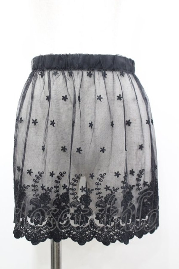 画像1: LOLITAその他(お買取対象外) / レースエプロン  黒 I-26-03-16-108-LO-ZA-SA-ZI (1)