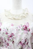 画像3: Victorian maiden / ロココブーケレーシードールドレス  白ｘピンク I-26-03-19-051-CL-OP-SA-ZI (3)
