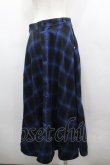 画像3: RNA / チェックサイドZIPロングスカート  ブルー I-26-03-25-086-PU-SK-SA-ZI (3)