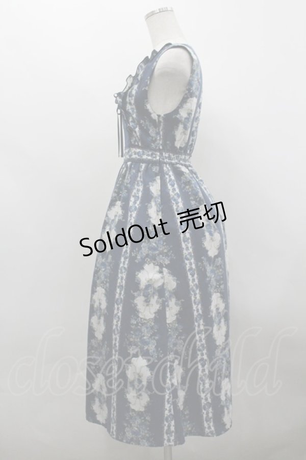 画像2: axes femme / 薔薇ストライプロングワンピース M ブルー I-26-03-30-034-AX-OP-TE-ZI (2)