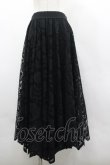 画像1: axes femme / レースサーキュラースカート M 黒 I-26-03-30-067-AX-SK-TE-ZI (1)