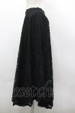画像2: axes femme / レースサーキュラースカート M 黒 I-26-03-30-067-AX-SK-TE-ZI (2)