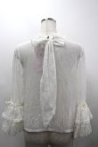 画像2: Angel's Heart / レース袖ブラウス  アイボリー I-26-03-30-013-EL-BL-SA-ZI (2)