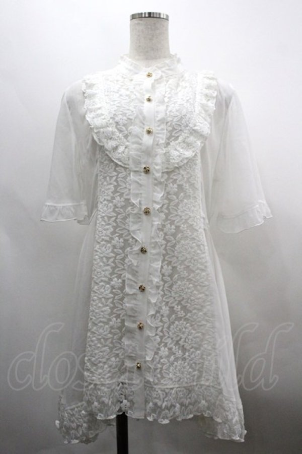 画像1: axes femme / バラレースチュニックブラウス F 白 I-26-03-30-003-AX-BL-TE-ZI (1)