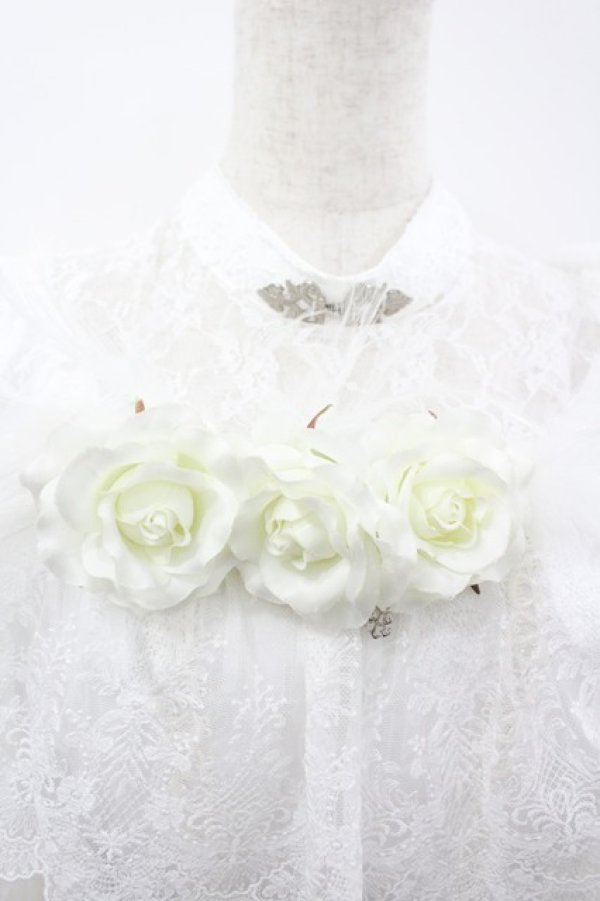 画像3: ALICE and the PIRATES / 薔薇の淑女ワンピース  白 I-26-04-01-050-PA-OP-SA-ZI (3)