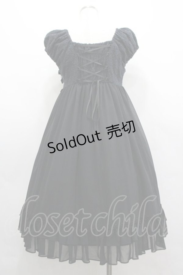 画像2: Victorian maiden / レースシフォンドールドレス  黒 I-26-04-03-055-CL-OP-TE-ZI (2)