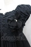 画像3: Victorian maiden / レースシフォンドールドレス  黒 I-26-04-03-055-CL-OP-TE-ZI (3)