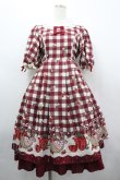 画像1: axes femme kawaii / ベリーズピクニックワンピース M レッド I-26-04-03-059-AX-OP-SA-ZI (1)