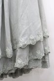 画像6: Hinana Queena（海外ロリータブランド） / 菫の秘め事 ロングスカート L グリーン I-26-04-12-094-LO-SK-TE-ZI (6)