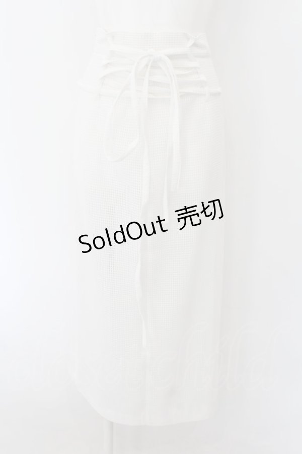 画像1: Melt the lady / シアーメッシュスカート S シロ O-24-09-14-007-PU-SK-IG-OS (1)
