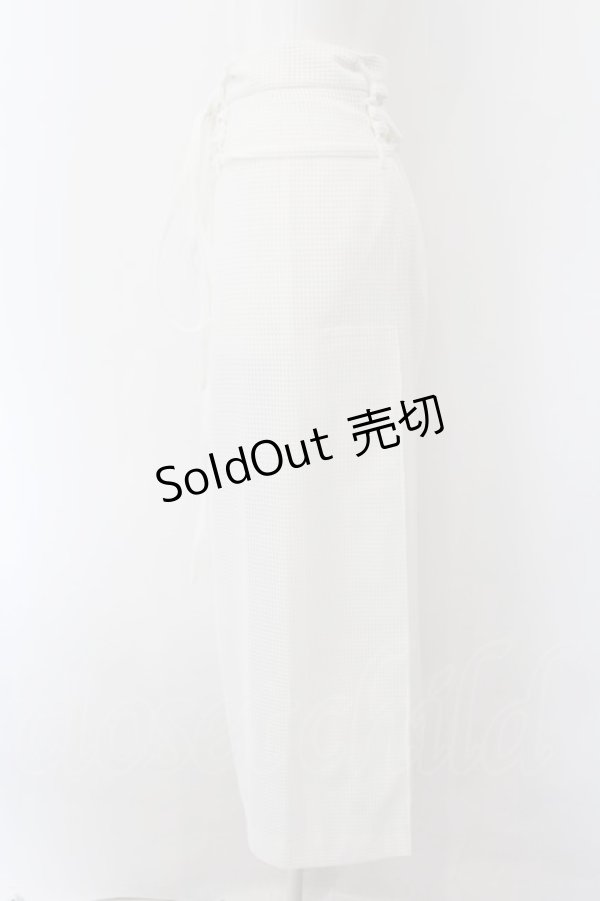 画像2: Melt the lady / シアーメッシュスカート S シロ O-24-09-14-007-PU-SK-IG-OS (2)