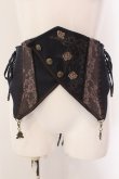 画像1: OZZ ANGELO / ローズ刺繍ナナメスナップボタンコルセット  ネイビー×ブラウン O-25-02-04-072-OO-ZA-IG-OS (1)