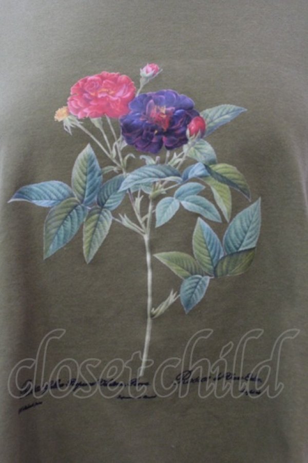 画像2: axes femme / ボタニカルガーデンTシャツ F グリーン O-25-02-19-1059-AX-TO-IG-ZT050 (2)
