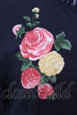 画像3: Jane Marple Dans Le Salon / Strawberry embroidery dress M クロ O-25-02-19-021-JM-OP-IG-ZS (3)