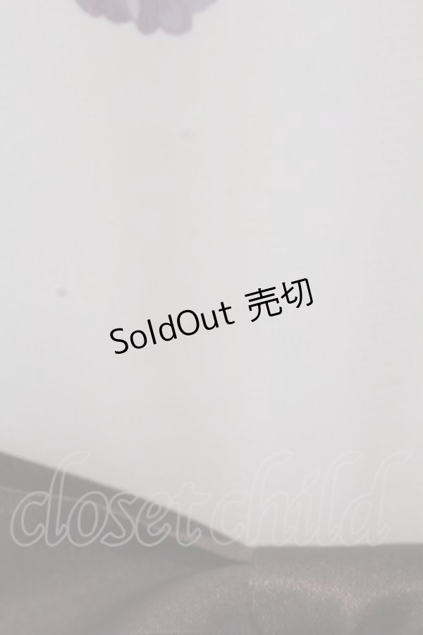 画像3: Innocent World / アンティークパンジーシフォンドレス M アイボリー O-25-02-25-003-IW-OP-IG-OS (3)