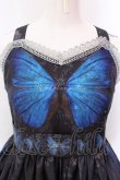 画像2: Royal Princess Alice / Butterfly Churc ドレス  ブラック×ブルー O-25-02-25-002-LO-OP-IG-OS (2)
