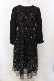 画像1: axes femme POETIQUE / 花刺繍チュールワンピース  黒 O-25-02-26-1039-AX-OP-ET-OS (1)