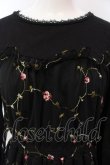 画像2: axes femme POETIQUE / 花刺繍チュールワンピース  黒 O-25-02-26-1039-AX-OP-ET-OS (2)