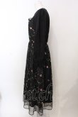 画像3: axes femme POETIQUE / 花刺繍チュールワンピース  黒 O-25-02-26-1039-AX-OP-ET-OS (3)