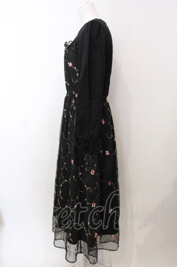 画像3: axes femme POETIQUE / 花刺繍チュールワンピース  黒 O-25-02-26-1039-AX-OP-ET-OS (3)