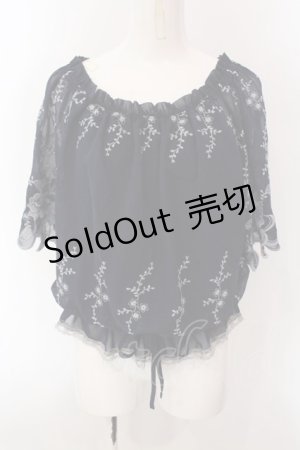 画像: axes femme / フラワー刺繍シフォントップス M コン O-25-02-26-1021-AX-TO-OW-OS
