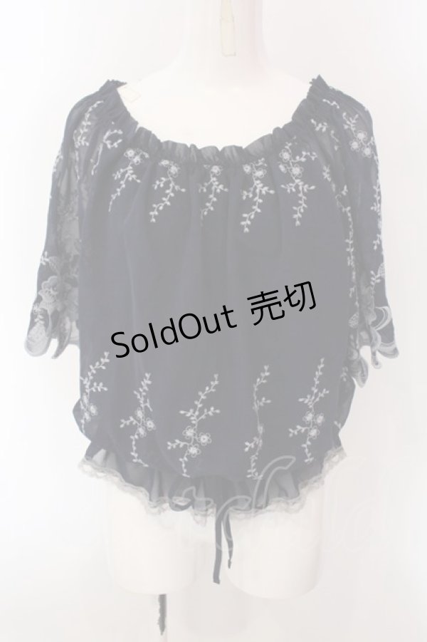 画像1: axes femme / フラワー刺繍シフォントップス M コン O-25-02-26-1021-AX-TO-OW-OS (1)