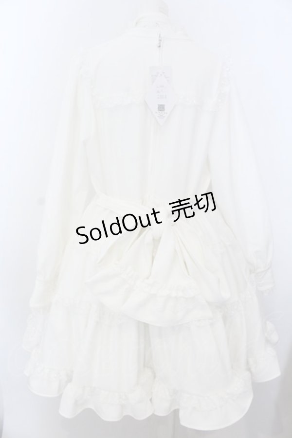 画像5: DearMyLoveEmily / エミリーフリルワンピース 4L シロ O-25-02-28-1005-LO-OP-OW-OS (5)