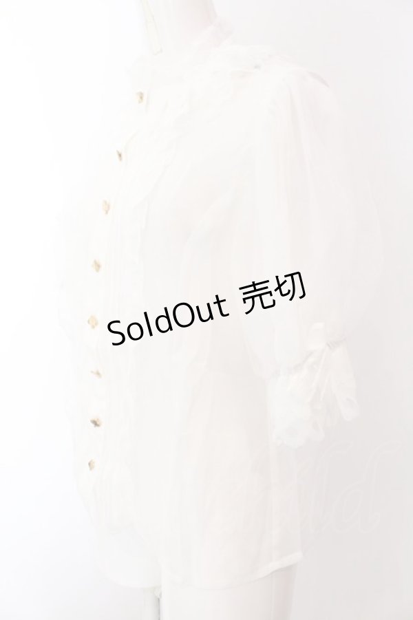 画像2: Wheat House / Wonderland Gardenシフォンブラウス L シロ O-25-02-28-1017-LO-BL-OW-OS (2)