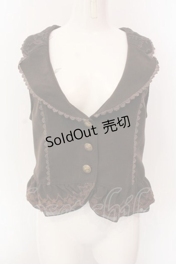 画像1: axes femme / 裾刺繍ベスト M ブラウン O-25-02-28-059-AX-TO-OW-OS (1)