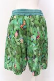 画像3: MILKBOY / TROLLS FOREST SHORTS パンツ  グリーン O-25-03-08-007-MB-PA-IG-ZT009 (3)