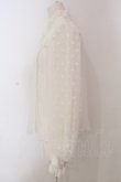 画像3: Angelic Pretty / Fancy Ornamentブラウス  シロ O-25-03-24-043-AP-BL-OW-OS (3)