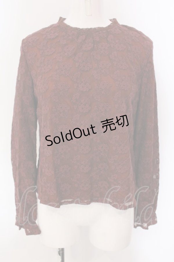 画像1: an another angelus / チュールレースプルオーバーブラウス  ブラウン O-25-03-26-1016-CA-BL-IG-ZT114 (1)