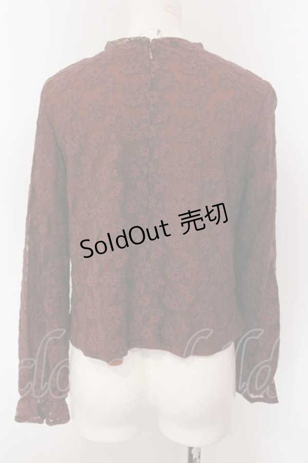 画像2: an another angelus / チュールレースプルオーバーブラウス  ブラウン O-25-03-26-1016-CA-BL-IG-ZT114 (2)