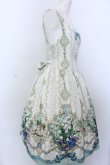 画像3: Royal Princess Alice / Forest Garden〜始まりの庭〜ジャンパースカート  グリーン系 O-25-04-04-024-LO-OP-OW-OS (3)