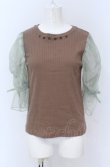 画像1: Maison de FLEUR Petite Robe canone / フルーツフィルのキャンディーカットソー M ブラウン O-25-04-13-072-EL-TO-OW-OS (1)