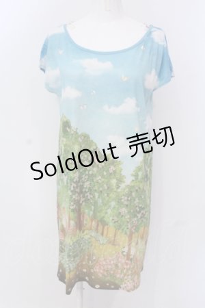 画像: 【SALE】Franche Lippee / シークレットガーデンフレンチTシャツ M サックス O-25-04-17-050-LO-TO-IG-ZT045